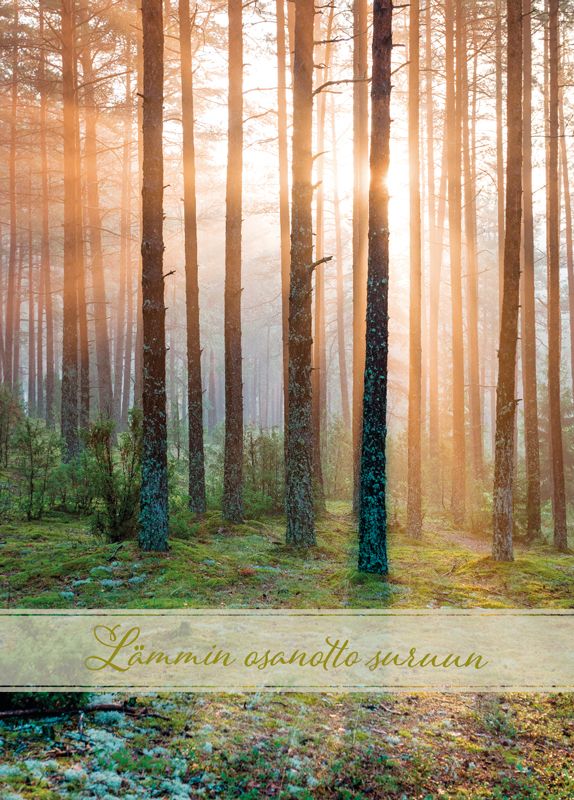 Suruadressi Salo Roosa nauha