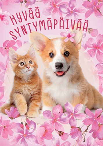 Postikortti syntymäpäivä