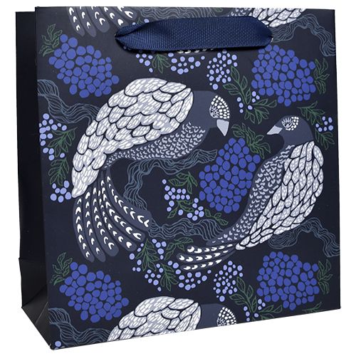 Lahjakassi S Vallila