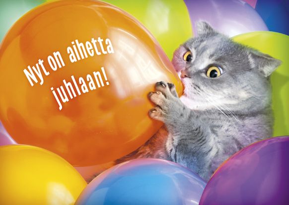 Postikortti hupi Avanti