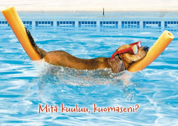 Postikortti hupi Avanti