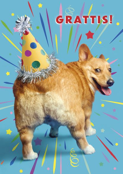 Postikortti hupi ruotsinkielinen Avanti