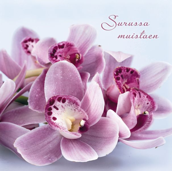 2-osainen adressikortti Roosa nauha