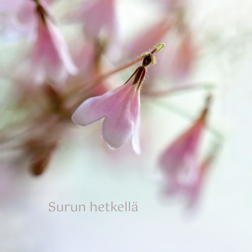 2-osainen adressikortti Unicef