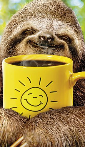 2-osainen hupikortti Avanti