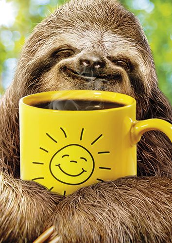 Postikortti hupi Avanti