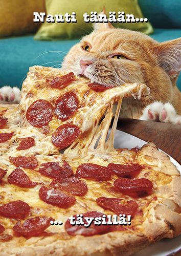 Postikortti hupi Avanti