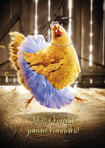 Postikortti hupi Avanti