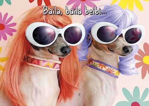 Postikortti hupi Avanti