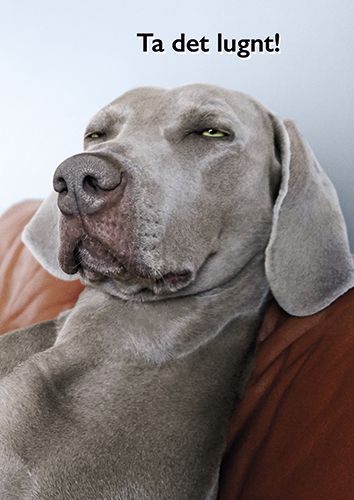 Postikortti hupi Avanti ruotsinkielinen