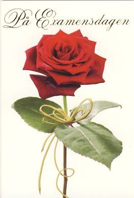 Pakettikortti valmistuneelle R