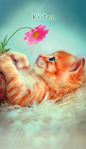 2-osainen kiitoskortti Avanti