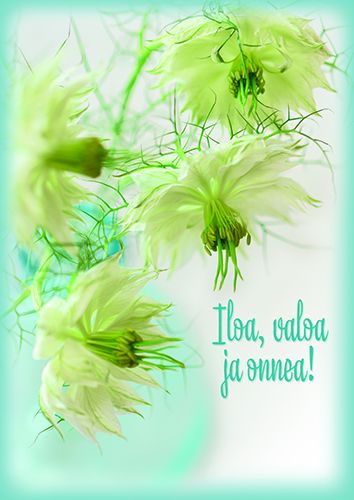 Postikortti onnittelu