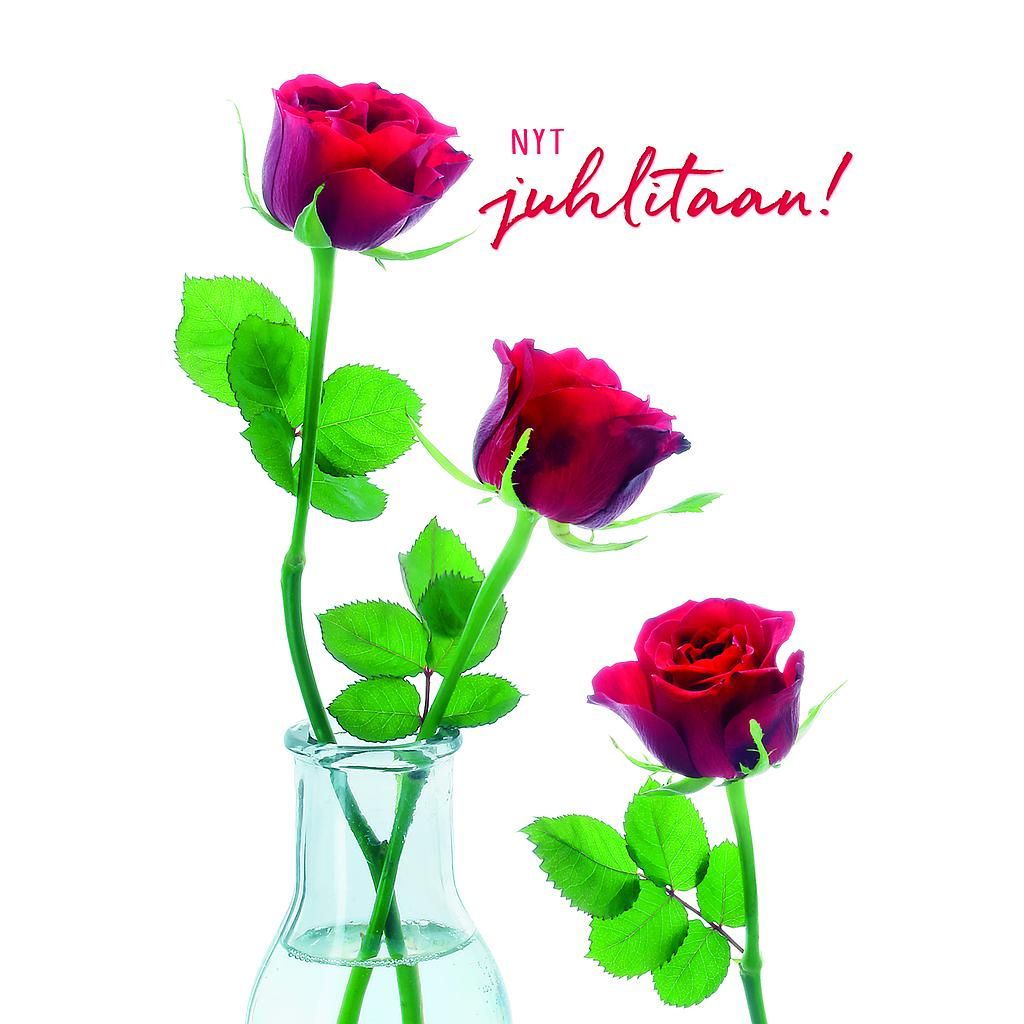 Postikortti onnittelu