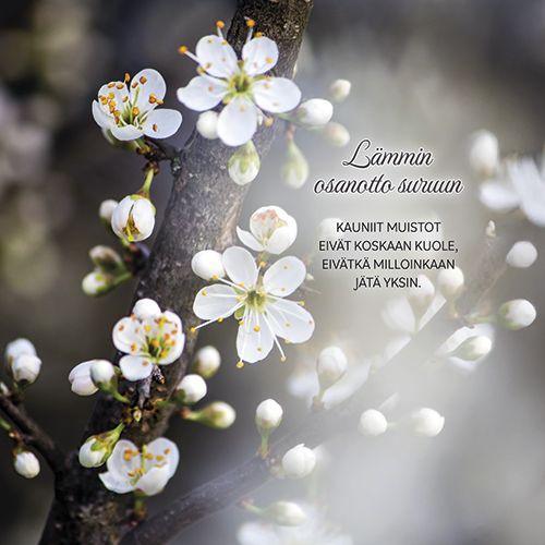 2-osainen adressikortti Syöpäpotilaat osanotto