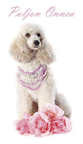 2-osainen onnittelukortti setelitasku