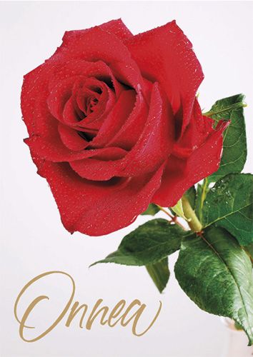 Postikortti onnittelu