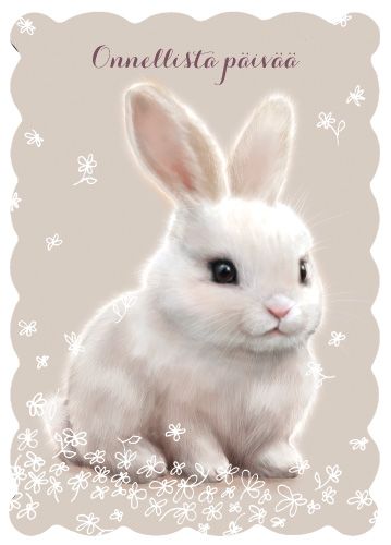 Postikortti Hanna-Maria Mainelakeus