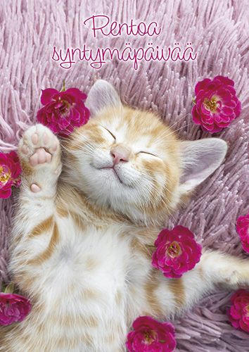 Postikortti syntymäpäivä