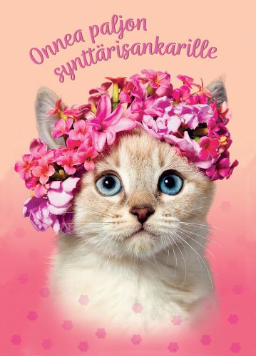 Postikortti syntymäpäivä