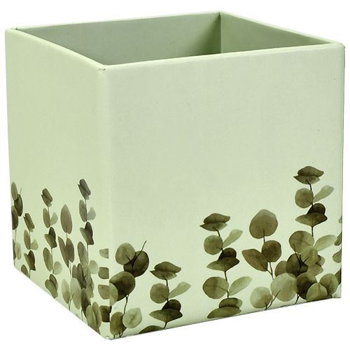 Kynälaatikko viherkasvit 8x8x8 cm