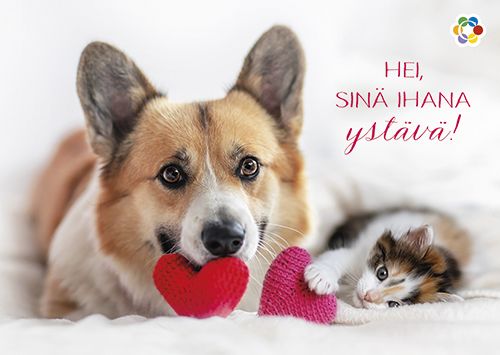 Ystävänpäiväkortti Suomen Syöpäpotilaat postimaksu maksettu