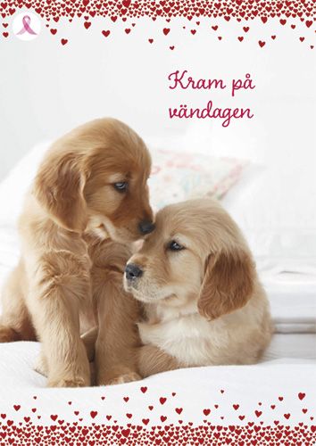 Ystävänpäiväkortti Syöpäsäätiö Roosa nauha ruotsinkielinen postimaksu maksettu