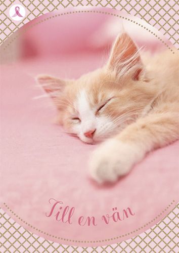 Ystävänpäiväkortti Syöpäsäätiö Roosa nauha ruotsinkielinen postimaksu maksettu