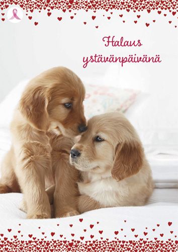 Ystävänpäiväkortti Syöpäsäätiö Roosa nauha postimaksu maksettu