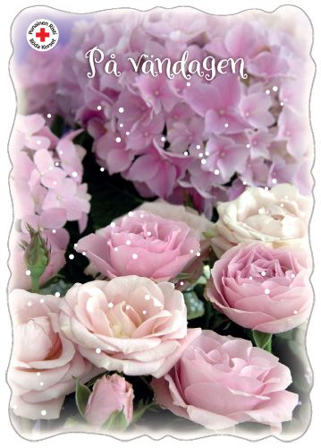 Ystävänpäiväkortti Suomen Punainen Risti ruotsinkielinen postimaksu maksettu