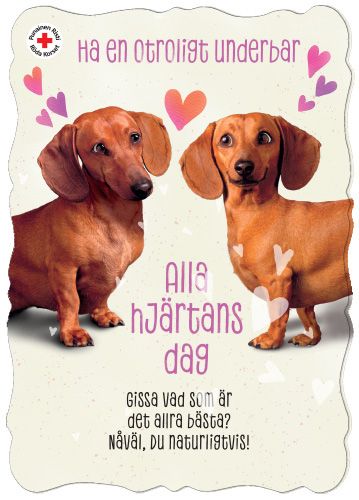 Ystävänpäiväkortti Suomen Punainen Risti ruotsinkielinen postimaksu maksettu