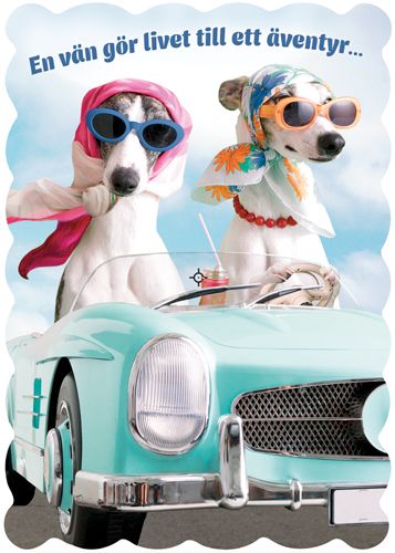 Ystävänpäiväkortti ruotsinkielinen Hallmark