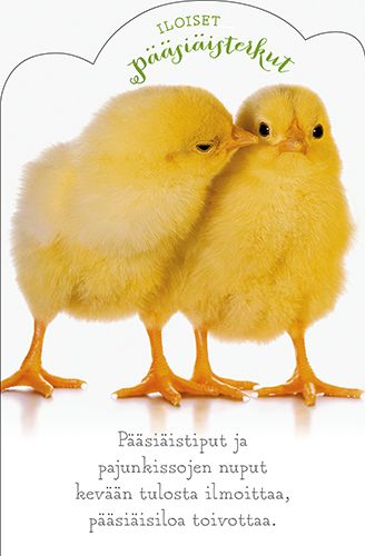 Pääsiäiskortti stanssattu