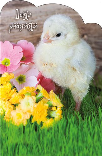 Pääsiäiskortti stanssattu Jorma Jämsen