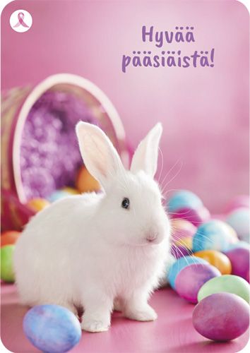 Pääsiäiskortti Syöpäsäätiö Roosa nauha postimaksu maksettu