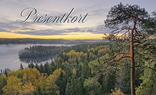 Lahjakorttipakkaus ruotsinkielinen