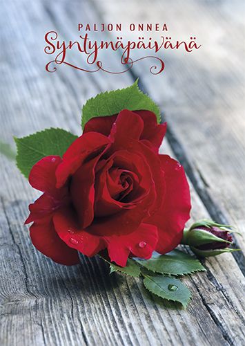 Postikortti syntymäpäivä
