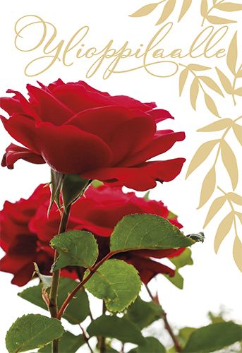 2-osainen ylioppilaskortti