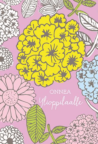 2-osainen ylioppilaskortti Merja Palin