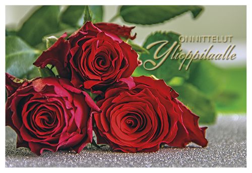 2-osainen ylioppilas setelitaskukortti