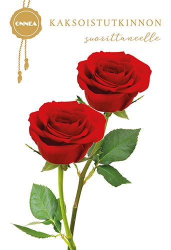 2-osainen kortti kaksoistutkinto