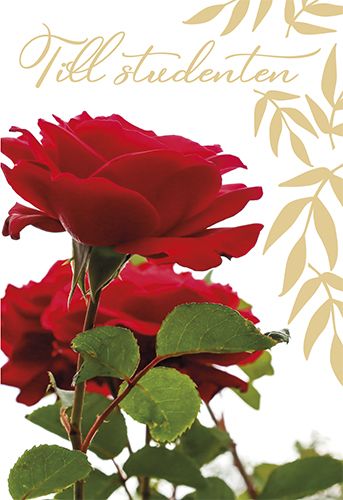 2-osainen ylioppilaskortti ruotsinkielinen