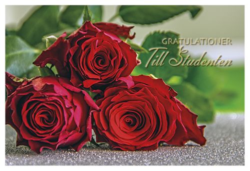 2-osainen ylioppilas setelitaskukortti ruotsinkielinen