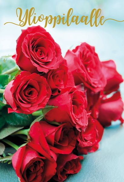 2-osainen ylioppilaskortti