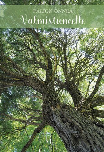 2-osainen valmistunut rahakuori