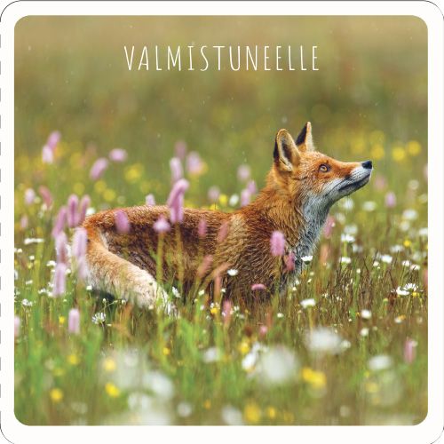 2-osainen valmistunut neliökortti