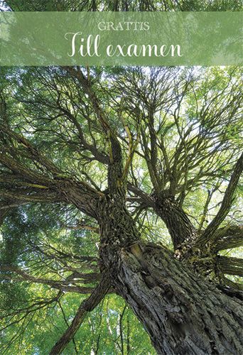 2-osainen valmistunut rahakuori ruotsinkielinen