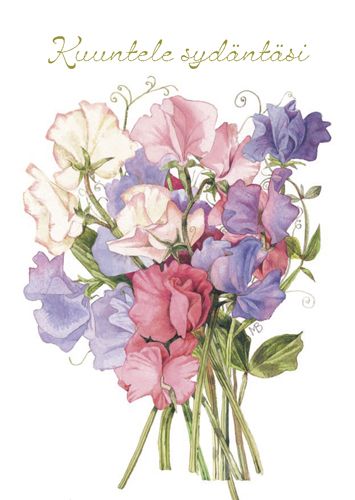 Postikortti Marjolein Bastin