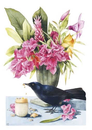 Postikortti Marjolein Bastin tekstitön