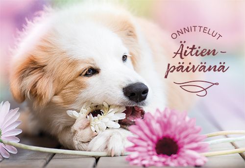 2-osainen äitienpäiväkortti